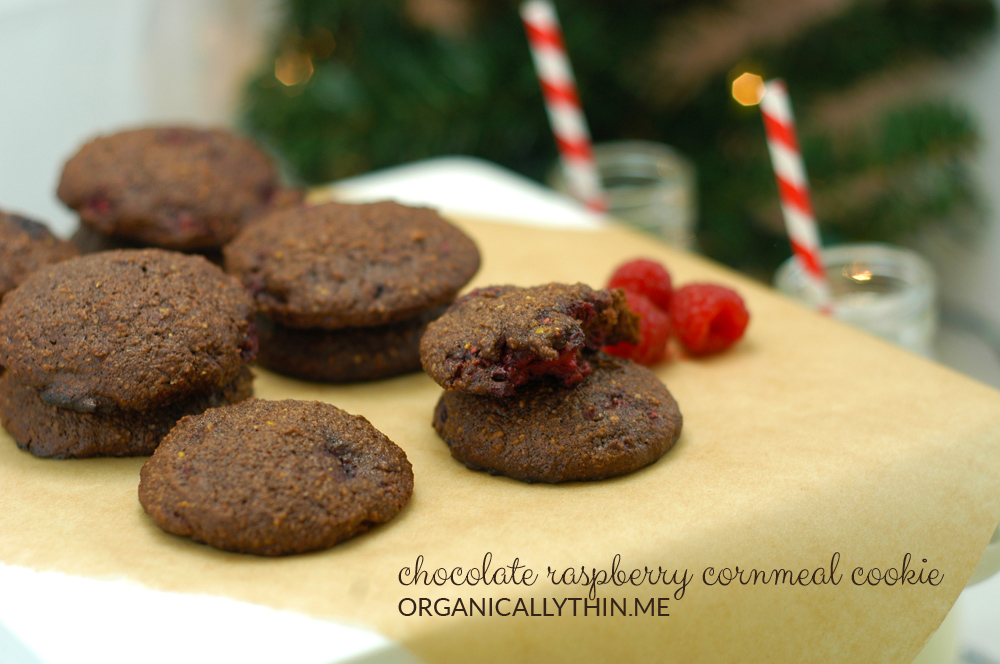 chocolate-cornmeal-cookie-TITLE